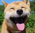 友爱星空ha头像