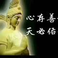 小熊1046头像