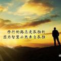 YIS异类头像