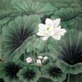 林虎66091520头像