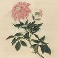 刘阳825头像