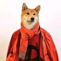 南通G先生头像