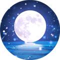 暗夜星空48946396 · 秦PLUS DM车主·车龄4年头像