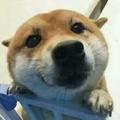 郭昊342头像