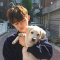 无问西东460头像