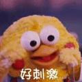 小白61256头像