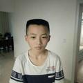 豪哥29751头像