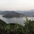 港湾55255605头像