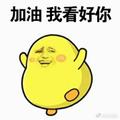 快乐的喜鹊er头像