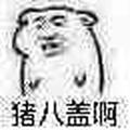 恶则坠诸渊927头像