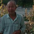 汪哲410头像