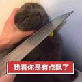 长风8103头像