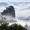 汤米562头像