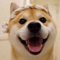 用户987945805502头像