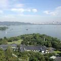 勇闯天涯9556头像