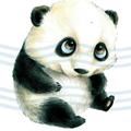 大力小水手447头像