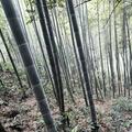 果然是我658头像