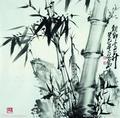 青山竹石608头像