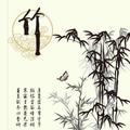 竹子58702头像