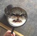 TNGANB头像