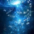 0星缘尘头像
