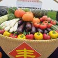 吃瓜编号112 · 星途揽月车主·车龄4年头像
