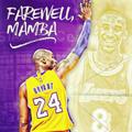 KOBEBRYANT431头像