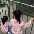 15152670525头像