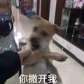 一颗狗387 · 星越L车主·车龄1年头像