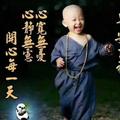 武泉170头像