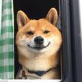 孤者何惧3776头像