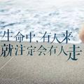 用户3693370161341头像