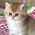 0055774 · 迈腾车主·车龄1年头像
