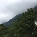 小苗苗苗123头像