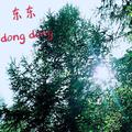 东东麻辣烫米线店总店黑A92C9头像