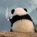 回忆丶过去丶头像