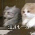Didididid头像