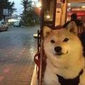 RANHAN头像