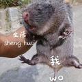 五公子276头像
