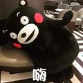 大笨蛋88头像
