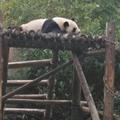 土能源头像