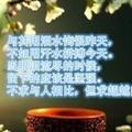 用户4342195852012头像