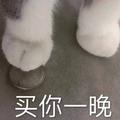 琼宝475头像