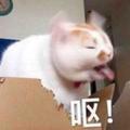 丶hiahiahia丶头像