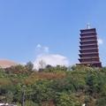 你好未来3641头像