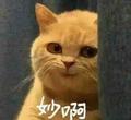 雪糕炫不停头像