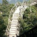 春哥9345头像