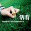 候鸟2050头像