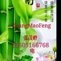 曾经沧海15505166768头像