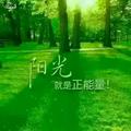 言川279头像